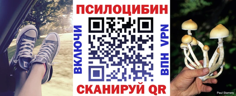 где продают Тобольск Псилоцибиновые грибы Cubensis